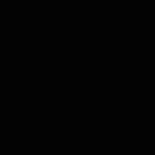 T011 – Zwart