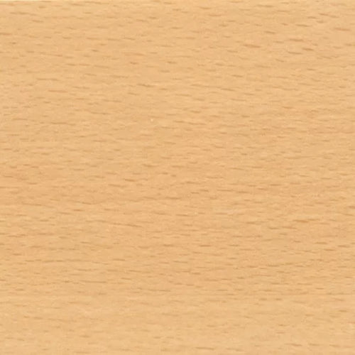 T313 – Blank Beuken