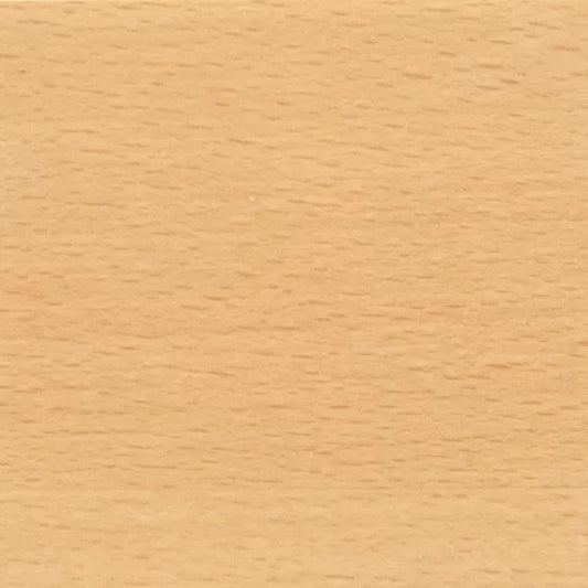 T313 – Blank Beuken